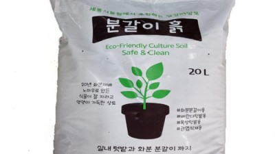 🪴 초보도 금손되는 마법! 월드가드닝 흙 분갈이 세트 후기 (내돈내산) ✨