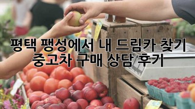 평택 팽성에서 내 드림카 찾기! 🚗 중고차 구매 상담 후기